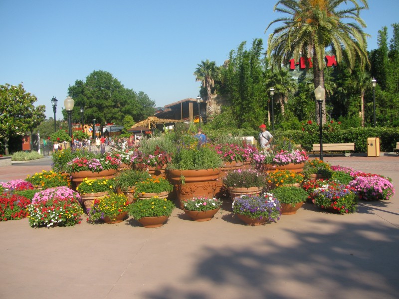 Animal Kingdom 160.jpg